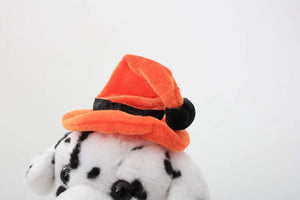 Pumpkin Paws – Spotted Trickster