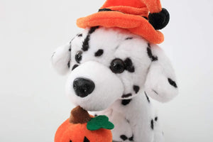 Pumpkin Paws – Spotted Trickster