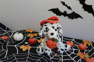 Pumpkin Paws – Spotted Trickster