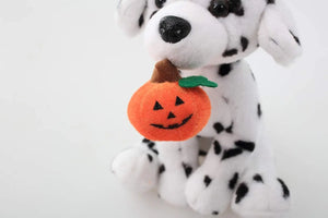 Pumpkin Paws – Spotted Trickster