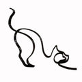  Cat