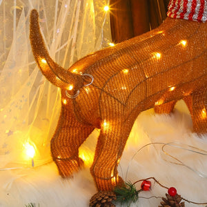 TwinkleTail™ Holiday Dachshund 2025 🎄